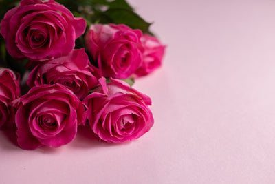Discover the Finest Selection of Rose Bouquets to Order Online in Dubai